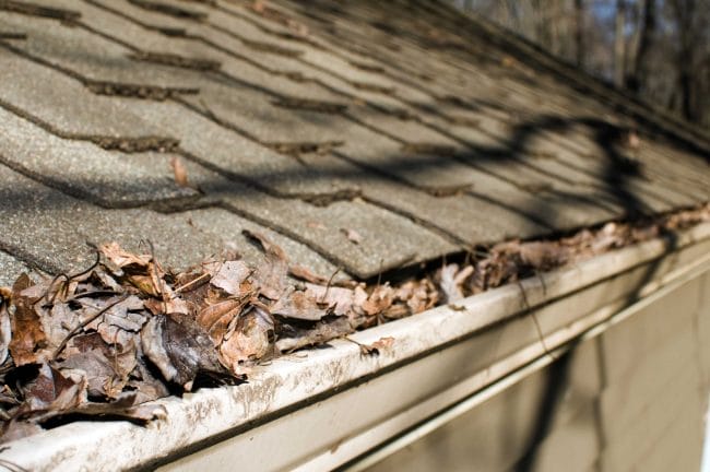 common cause of roof leaks, common roof damage
