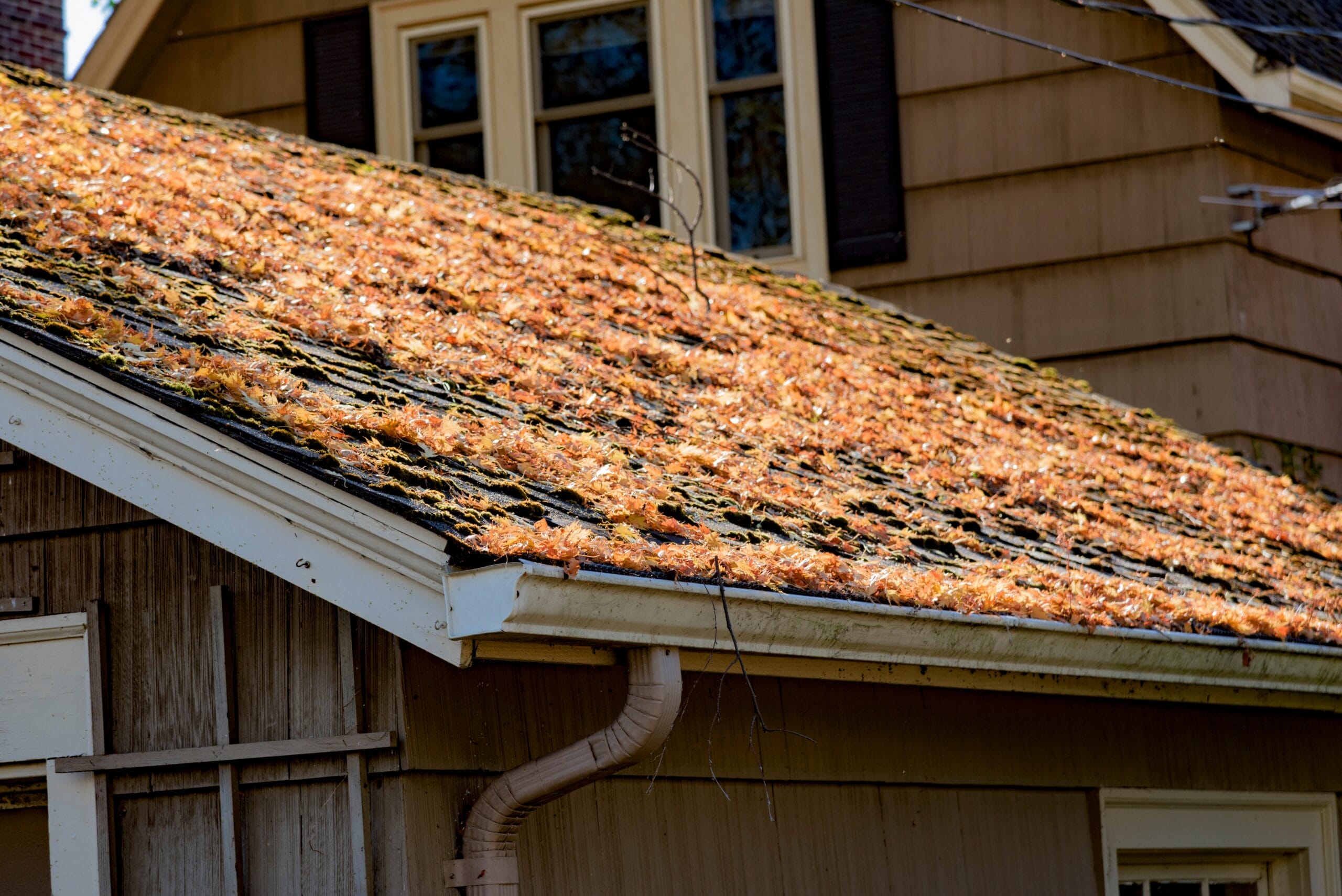 spring roof problems, spring roof damage, Santa Rosa Valley